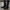 2041 Bot