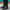 2037 Bot