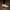 2037 Hakiki Deri Erkek Sneakers