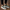1111-1 Triko Sneakers