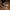 1111-1 Triko Sneakers