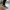 4224 Triko Sneakers