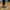 4224 Triko Sneakers