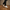4224 Triko Sneakers