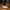 4224 Triko Sneakers