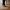 4224 Triko Sneakers