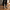 4224 Triko Sneakers
