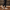 4224 Triko Sneakers