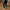 1111-1 Triko Sneakers