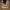 2028 Hakiki Deri Erkek Sneakers Eva