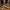 1111 Marchio Triko Sneakers