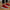1111 Marchio Triko Sneakers