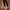 1111 Marchio Triko Sneakers